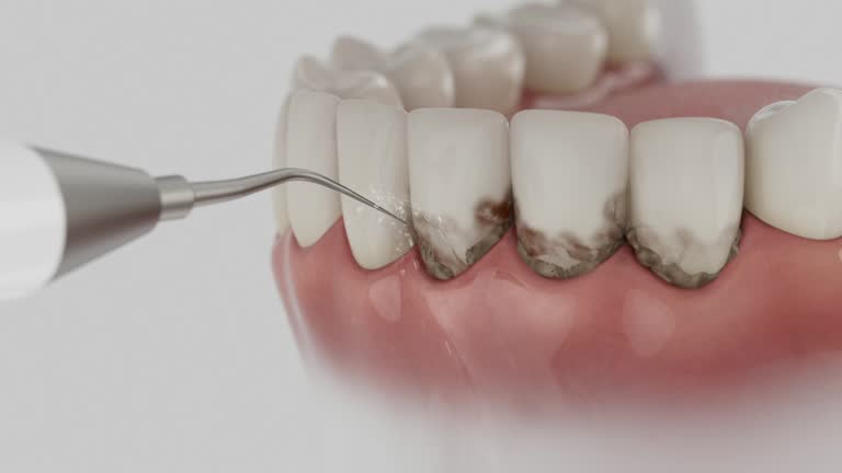 Reliable Dental contractor in University of Virginia, VA by Dentist Open Now